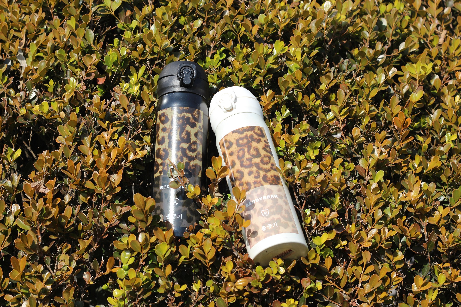 Personalizowane rozwiązania w utrzymaniu ciepła napojów