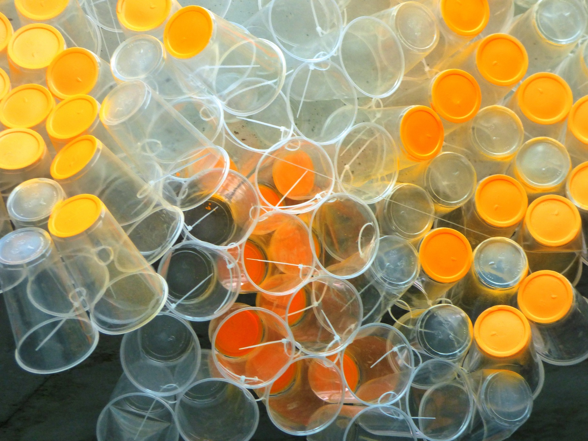 Nowoczesne rozwiązania w branży pakowania: Trendy i innowacje